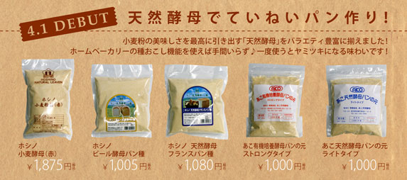 ホシノあこ天然酵母入荷