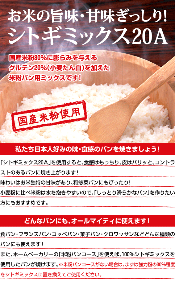 ��������H���ő�l�C�I�V�g�M�~�b�N�X20A