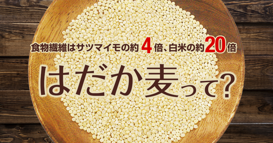 愛媛県産　はだか麦粉　1ｋｇ　受注発注商品の為2週間程お時間いただく場合がございます｜雑穀粉｜パン、お菓子の材料・器具専門店「マルサンパントリー」