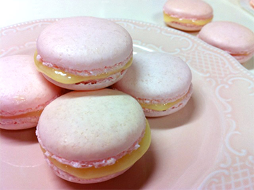 マカロンに夢中 ラピッドマカロンに挑戦 パン お菓子の材料 器具専門店 マルサンパントリー マカロンに夢中 ラピッドマカロンに挑戦 パン お菓子の材料 器具専門店 マルサンパントリー