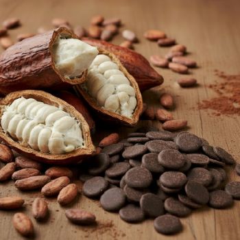 �J�J�I��/�J�J�I�}�X�ʐ^