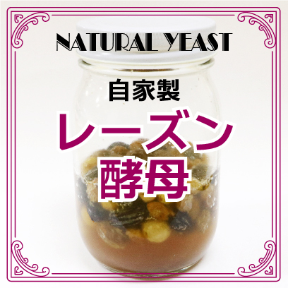 レーズン酵母