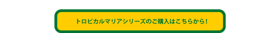 ���w���̓R�`�������