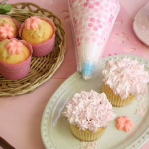 �yF�z������z�C�b�v500ml�y���z�y������z