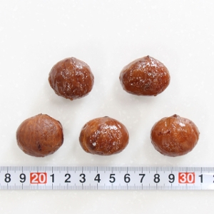 �}���T���p���g���[�I���W�i�� �I�ØI�� �a��I 1�� S�� 500g �y�ꗱ8g�`12.5g�z