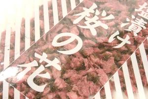 ̉ԉЁ@500ԓ@y6`9ċGN[ցz