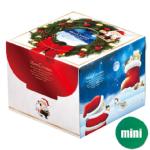 サンタの記念　ミニ　3号【デコレーションケーキ用ボックス】