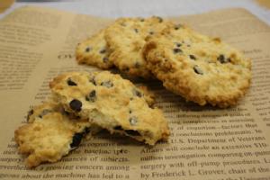 オートミールチョコチップクッキー（4〜5cmのクッキー約30〜40枚分） （レシピ付き）【6〜9月夏季クール便】