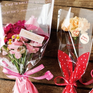 ��̓��V�[�� MA-11S 2��